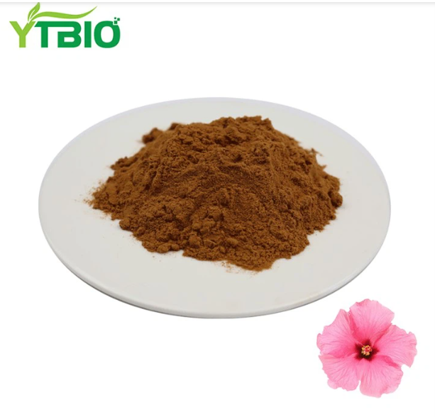 Hibiscus Flower Extract Powder